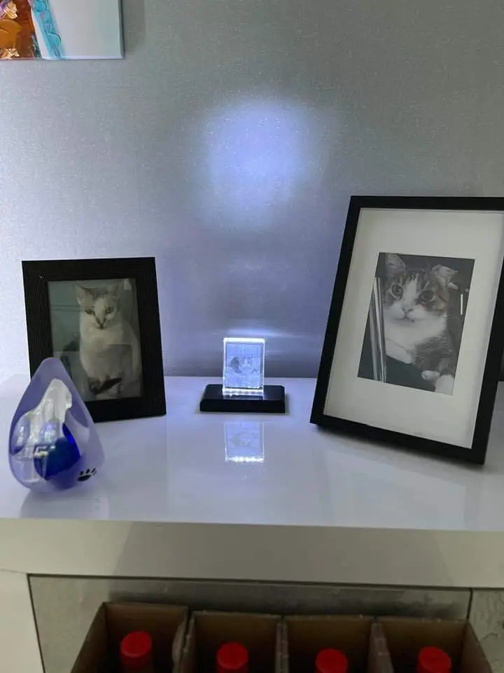 Condolence image of Sigrid