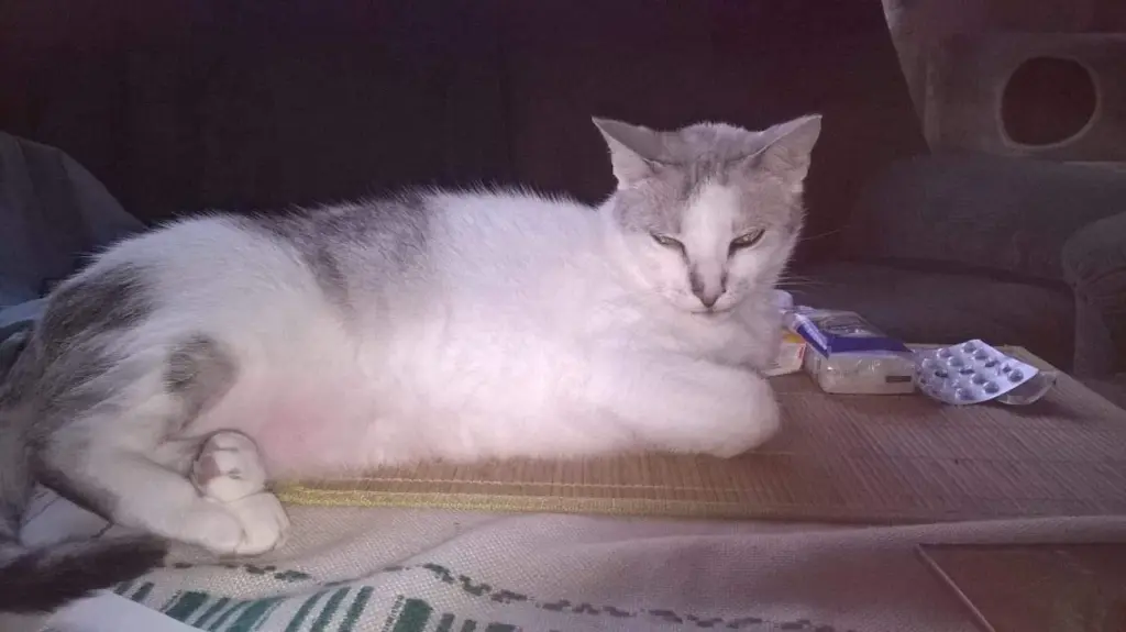 Condolence image of Sigrid