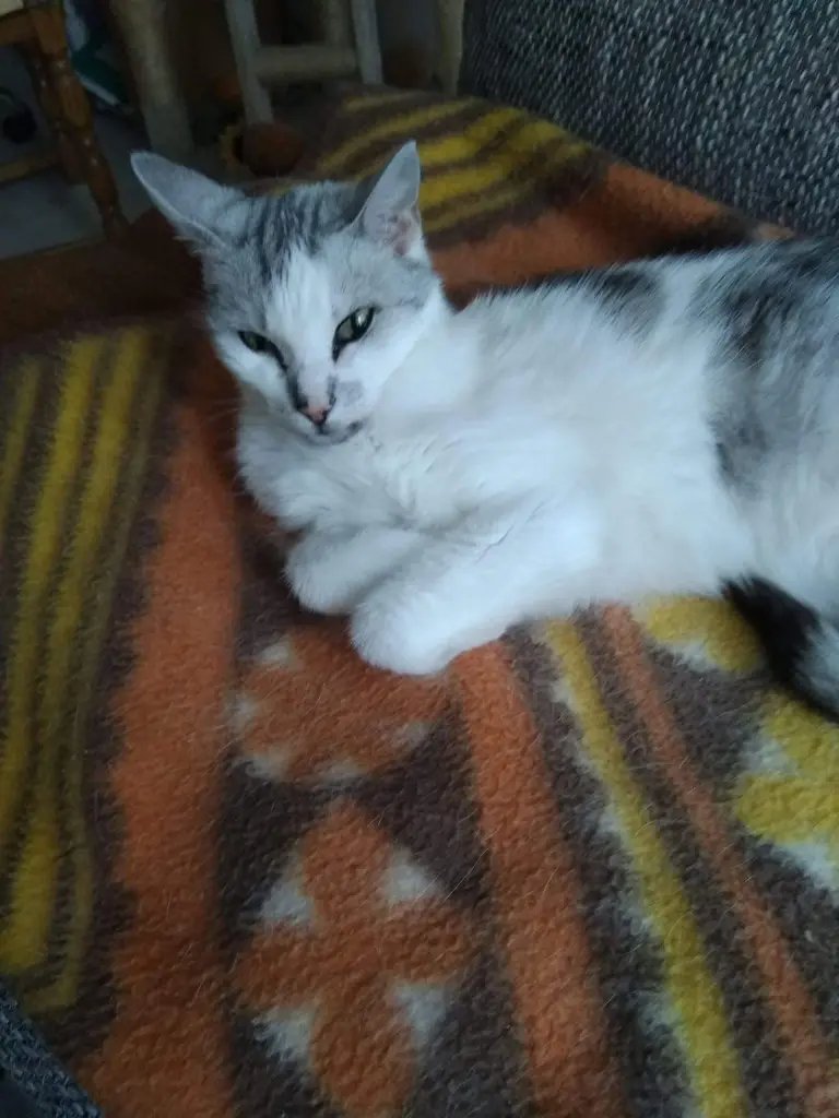 Condolence image of Sigrid