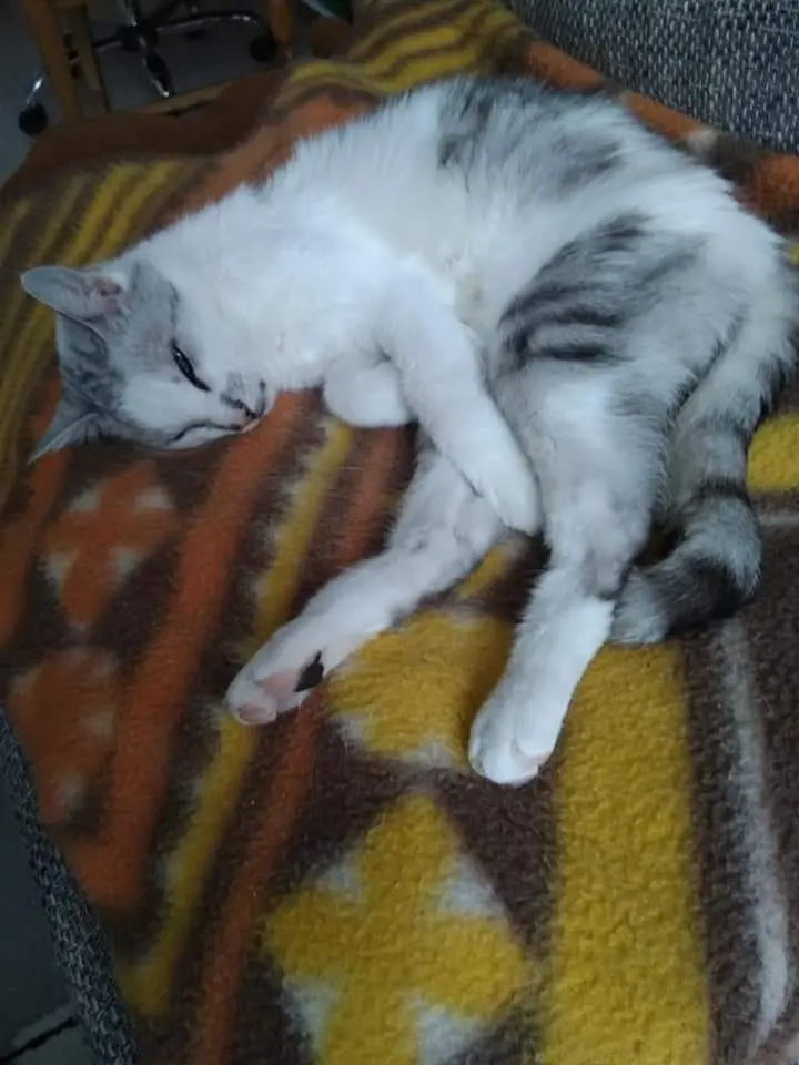 Condolence image of Sigrid