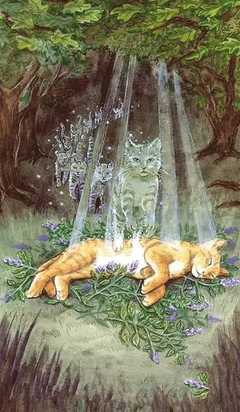 Condolence image of Sigrid