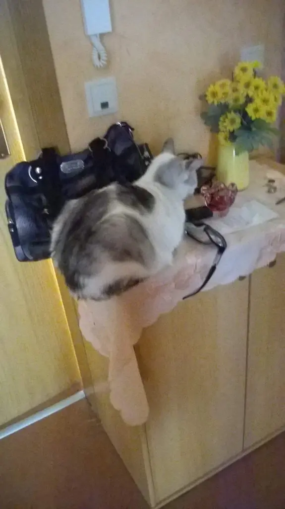 Condolence image of Sigrid