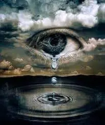 Condolence image of Sigrid