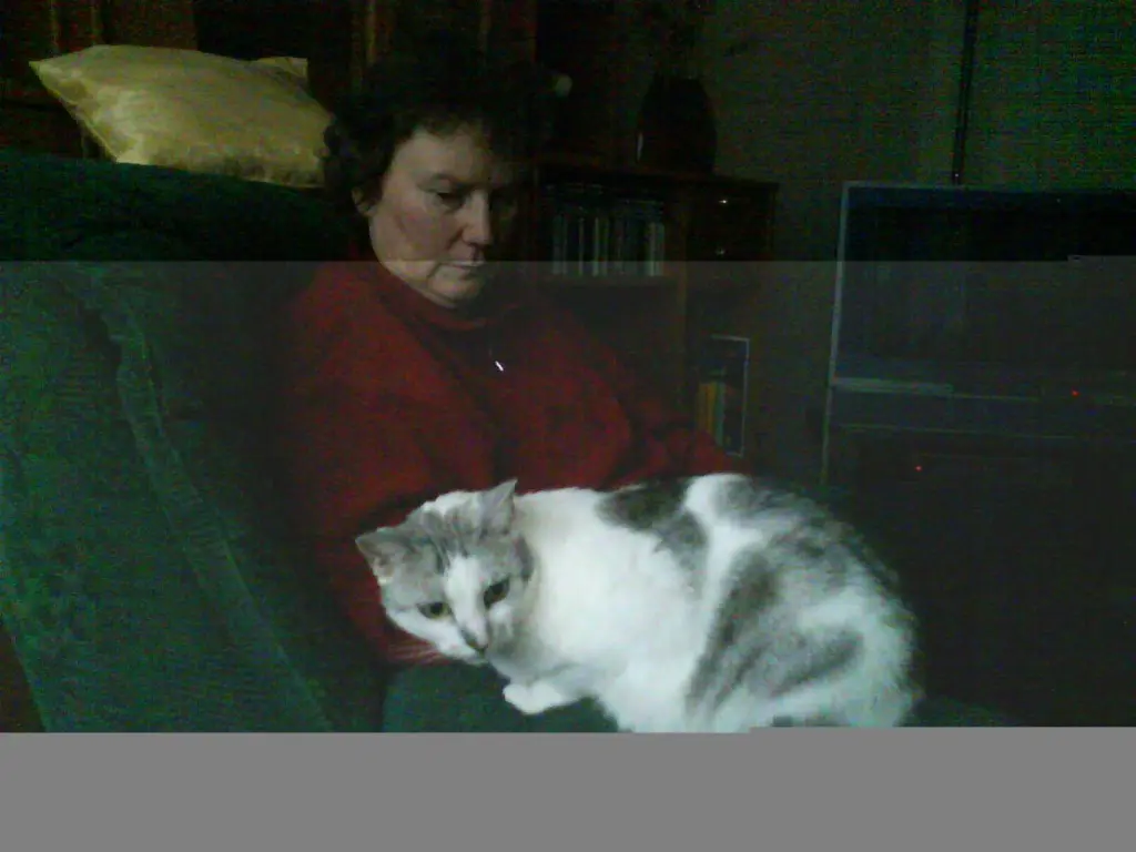 Condolence image of Sigrid