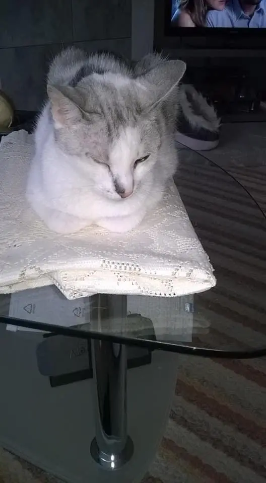 Condolence image of Sigrid