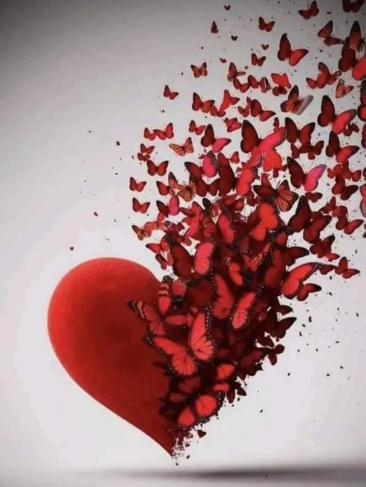 Condolence image of Sigrid