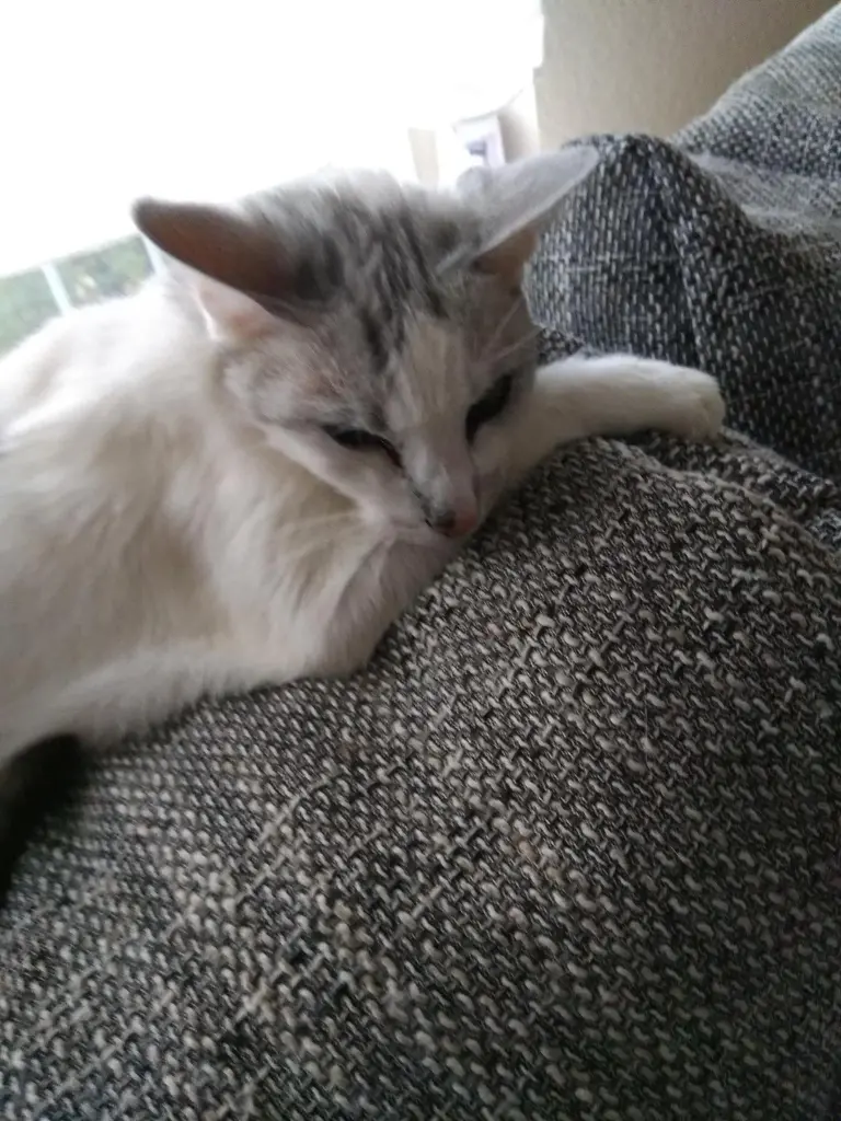 Condolence image of Sigrid