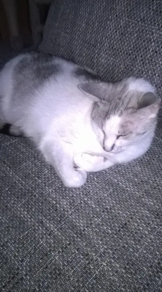 Condolence image of Sigrid