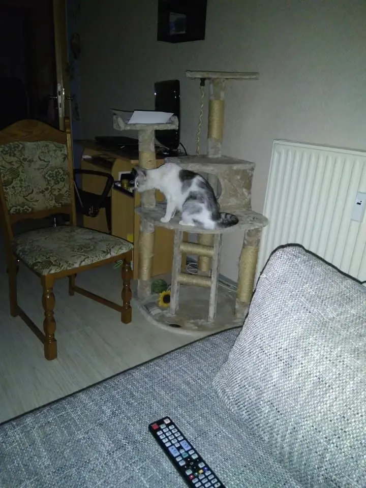 Condolence image of Sigrid
