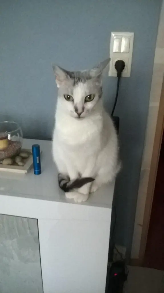 Condolence image of Sigrid