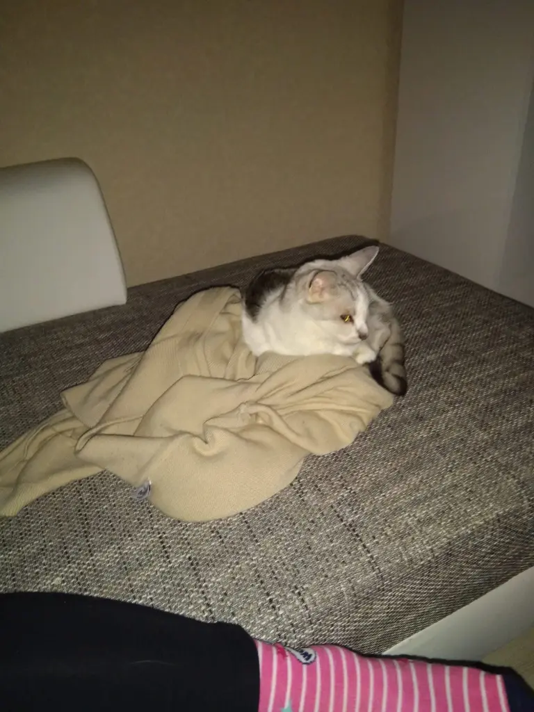 Condolence image of Sigrid