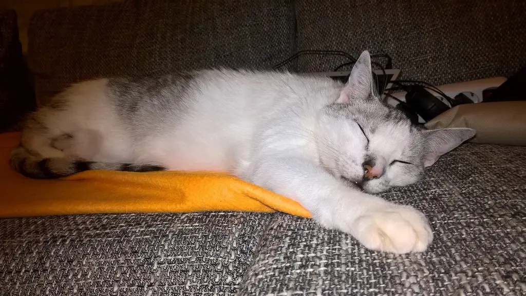 Condolence image of Sigrid
