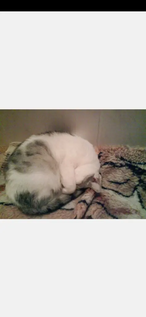 Condolence image of Sigrid