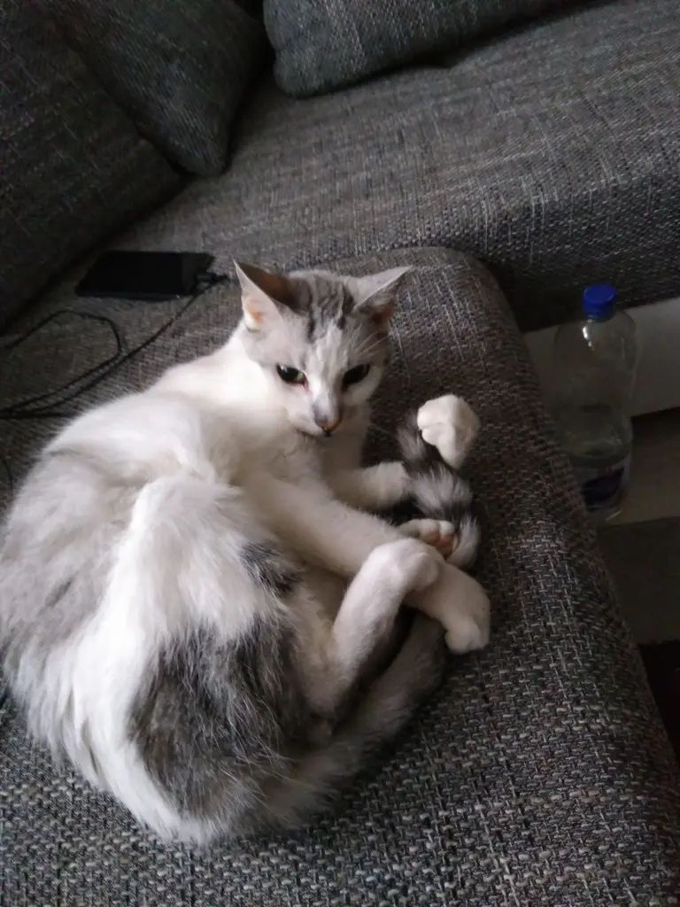 Condolence image of Sigrid