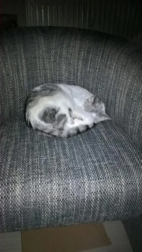 Condolence image of Sigrid