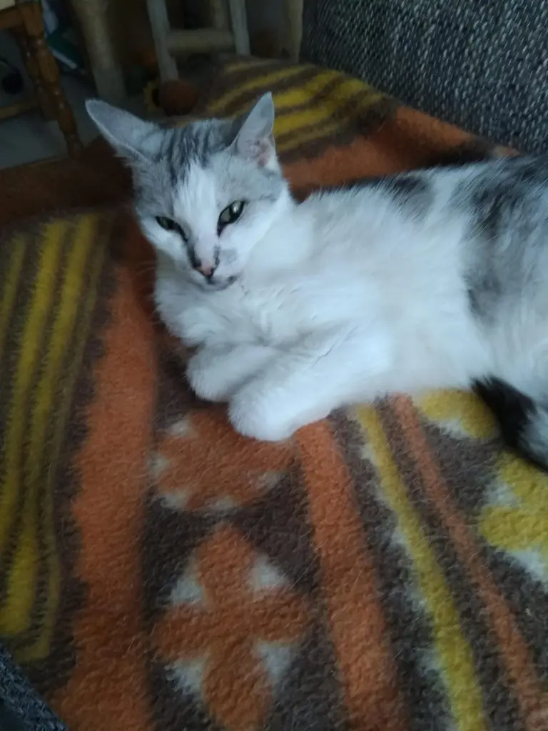 Condolence image of Sigrid