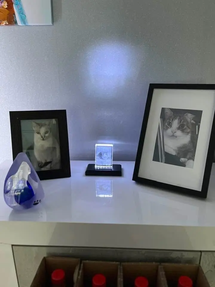 Condolence image of Sigrid
