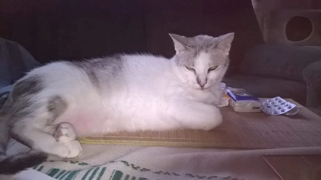 Condolence image of Sigrid