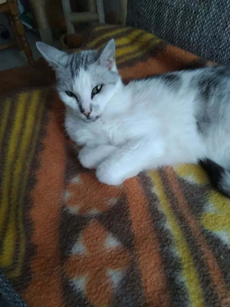 Condolence image of Sigrid