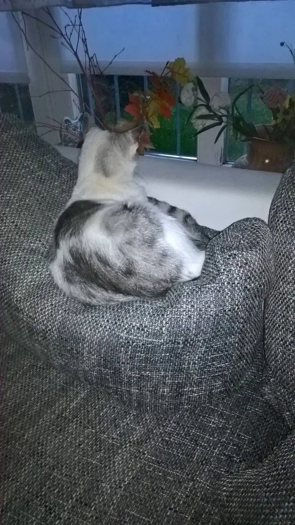 Condolence image of Sigrid