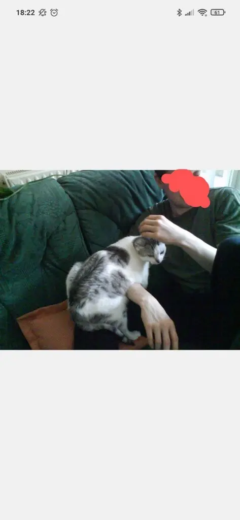 Condolence image of Sigrid