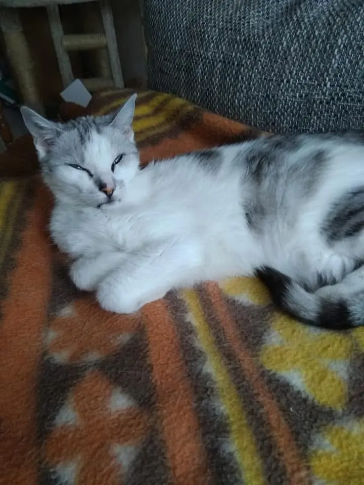 Condolence image of Sigrid