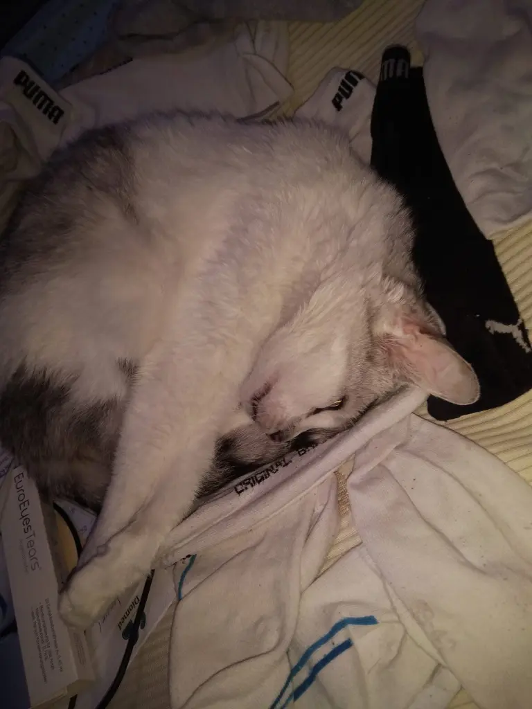 Condolence image of Sigrid