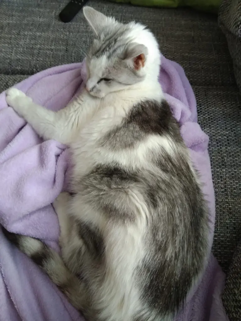 Condolence image of Sigrid