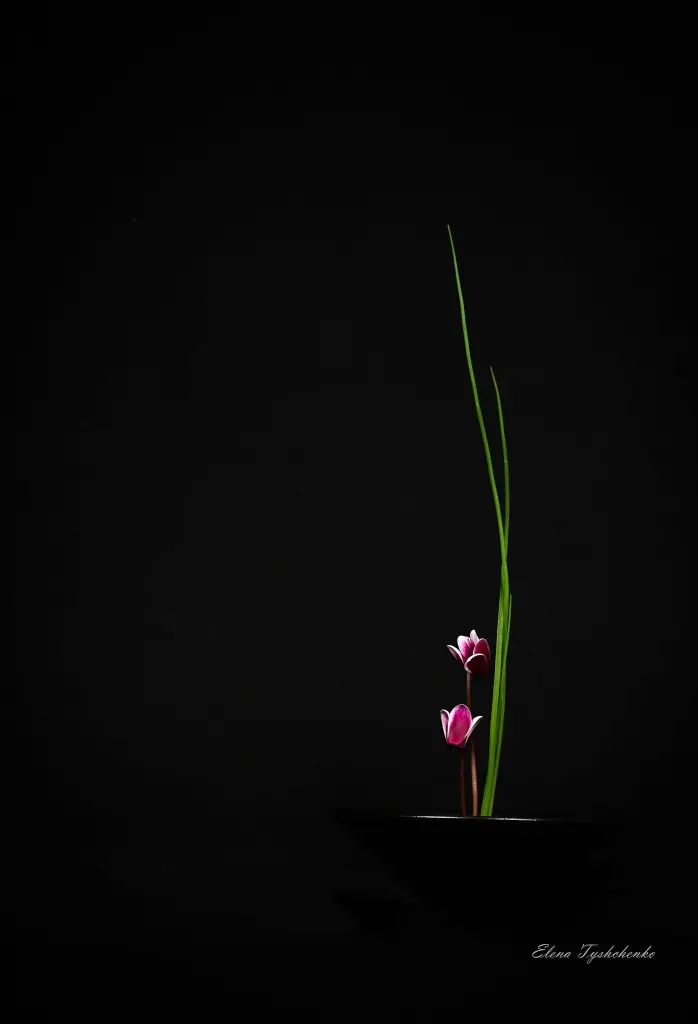 Condolence image of Sigrid