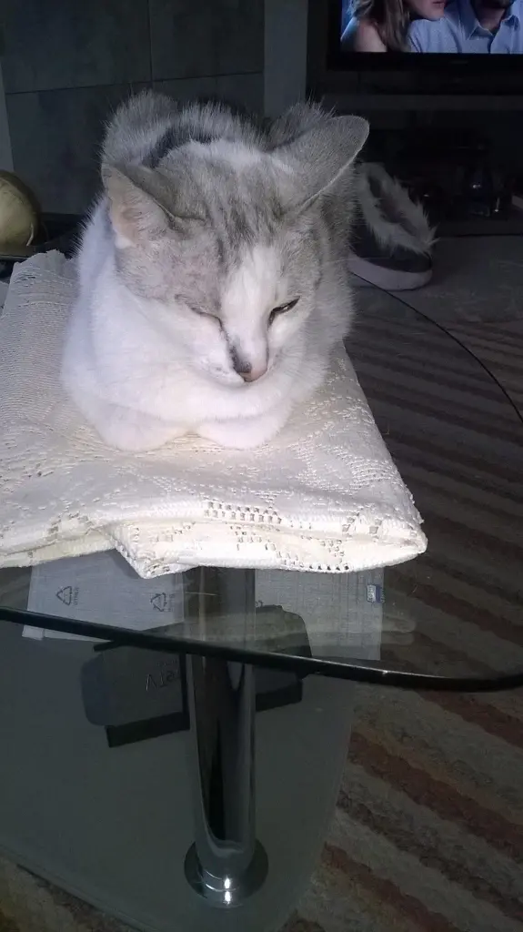 Condolence image of Sigrid