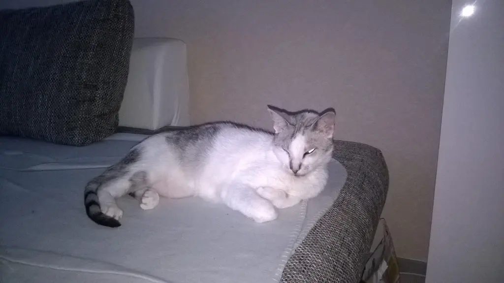 Condolence image of Sigrid