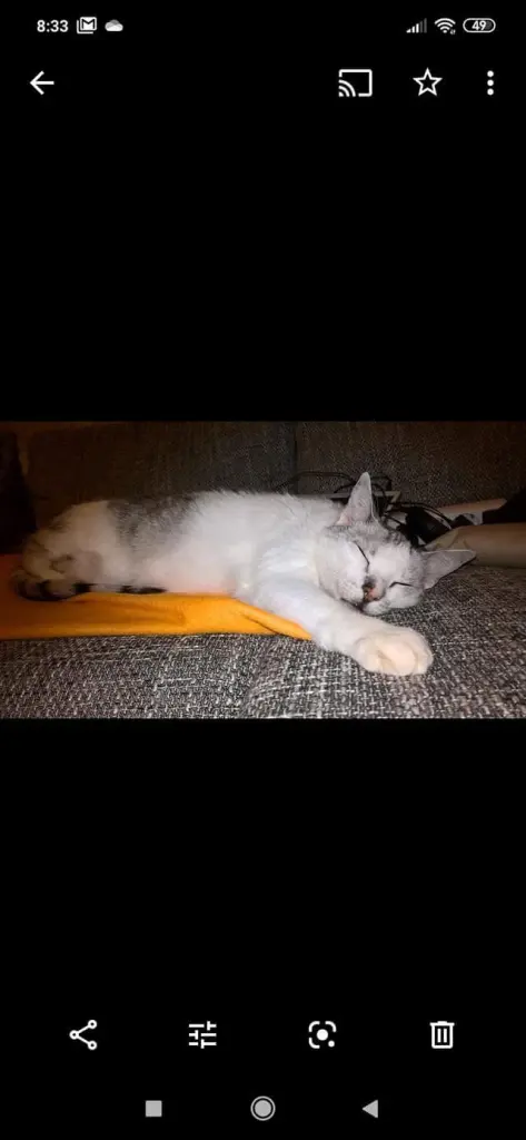 Condolence image of Sigrid