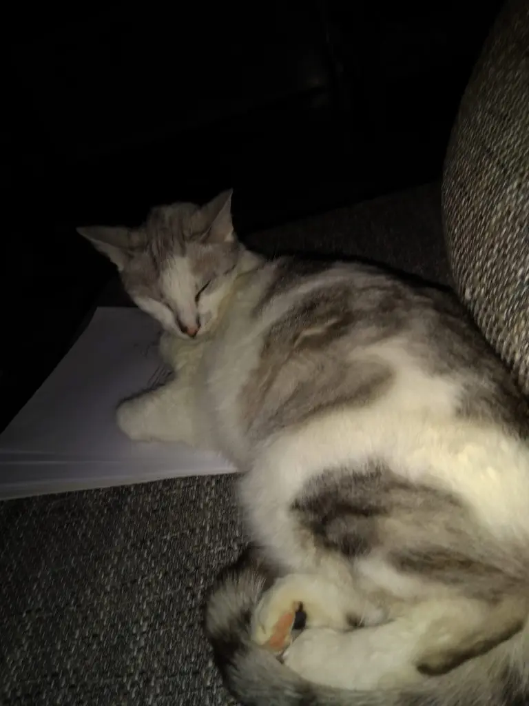 Condolence image of Sigrid