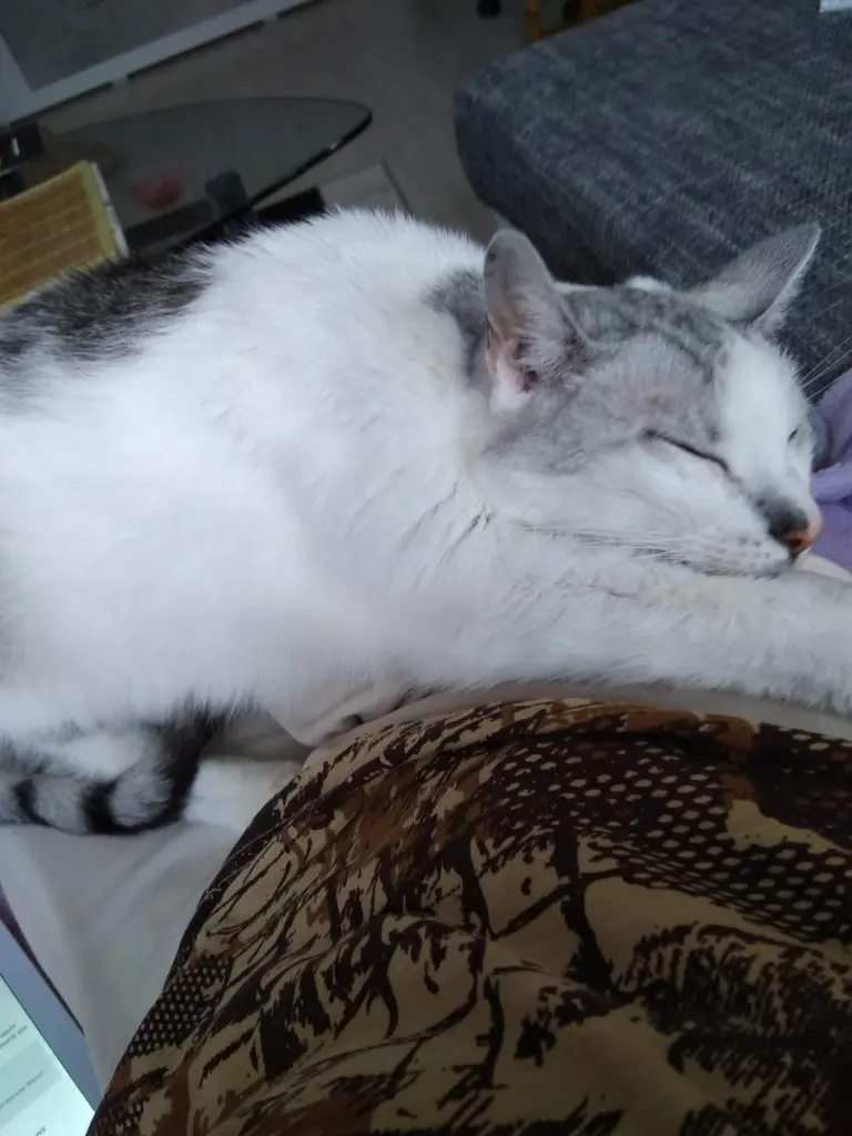 Condolence image of Sigrid