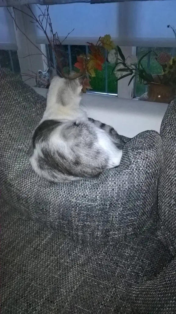 Condolence image of Sigrid