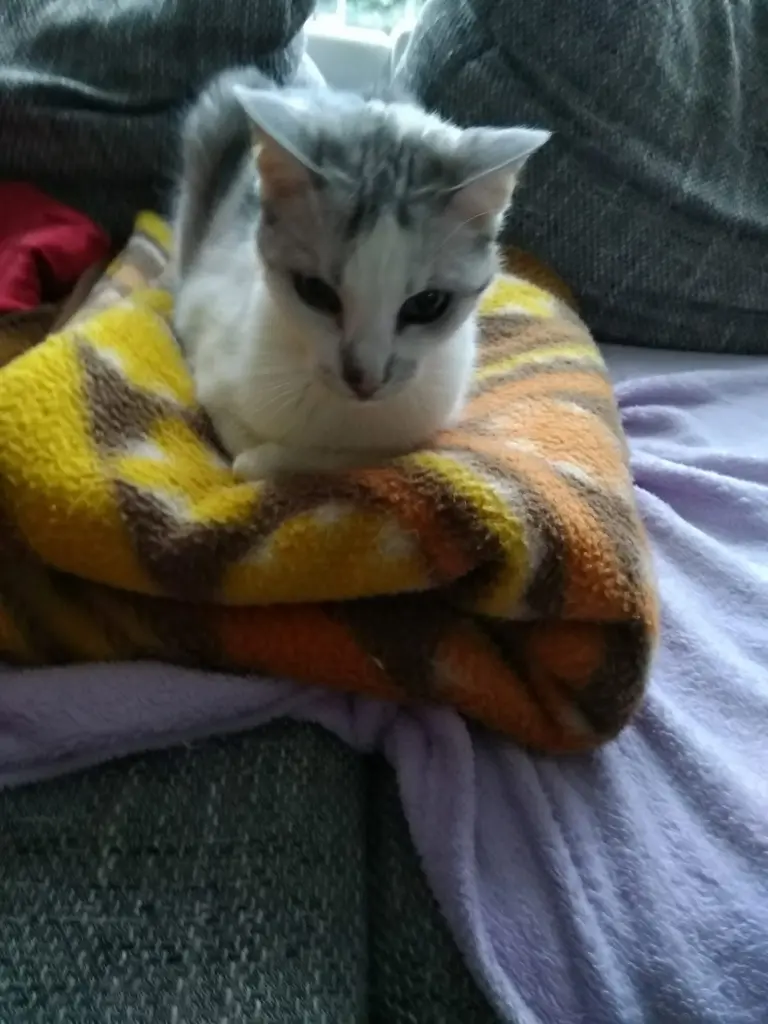 Condolence image of Sigrid
