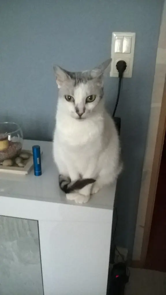 Image from Tigger
