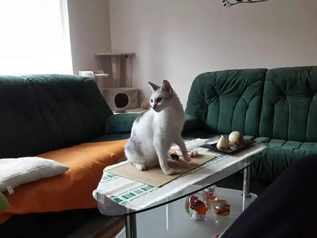 Image from Tigger