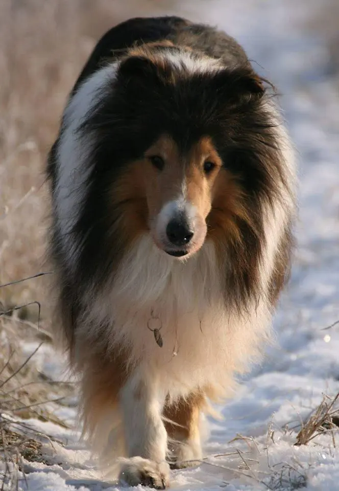 Image from Fynn