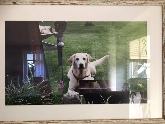 Condolence image of Marion