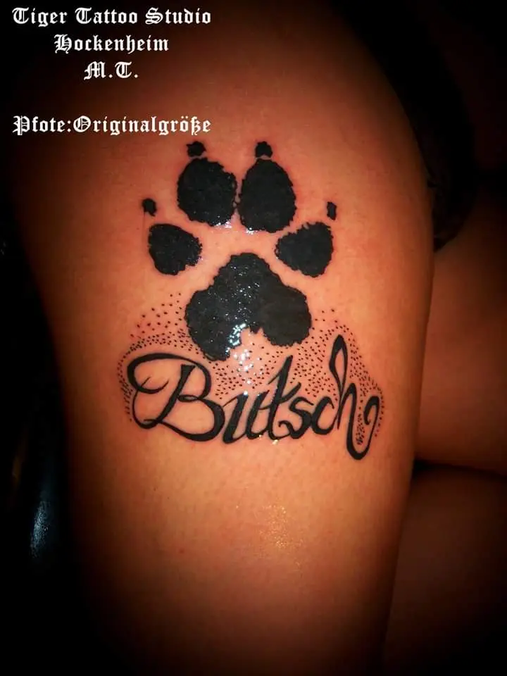 Image from Butsch