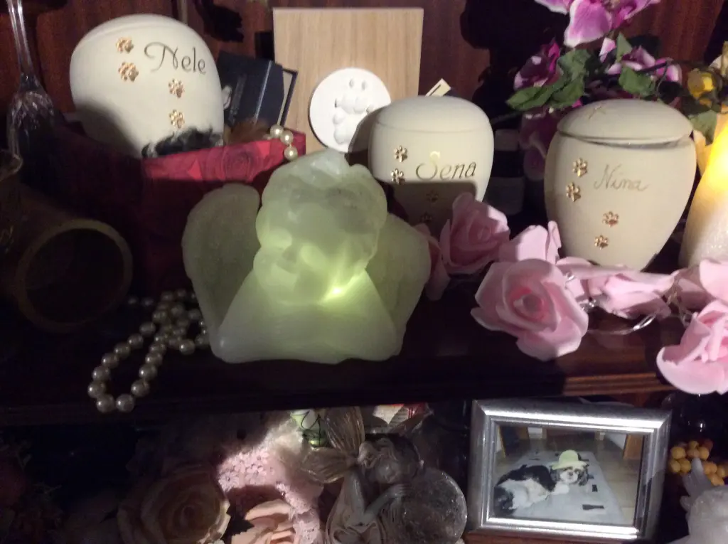 Condolence image of Heidi