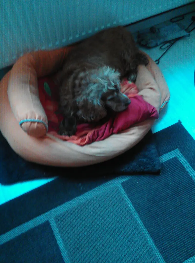 Image from Caisy