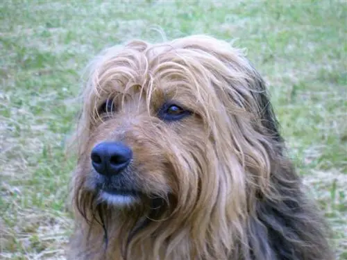 Bild von Tess