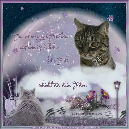 Condolence image of Filou