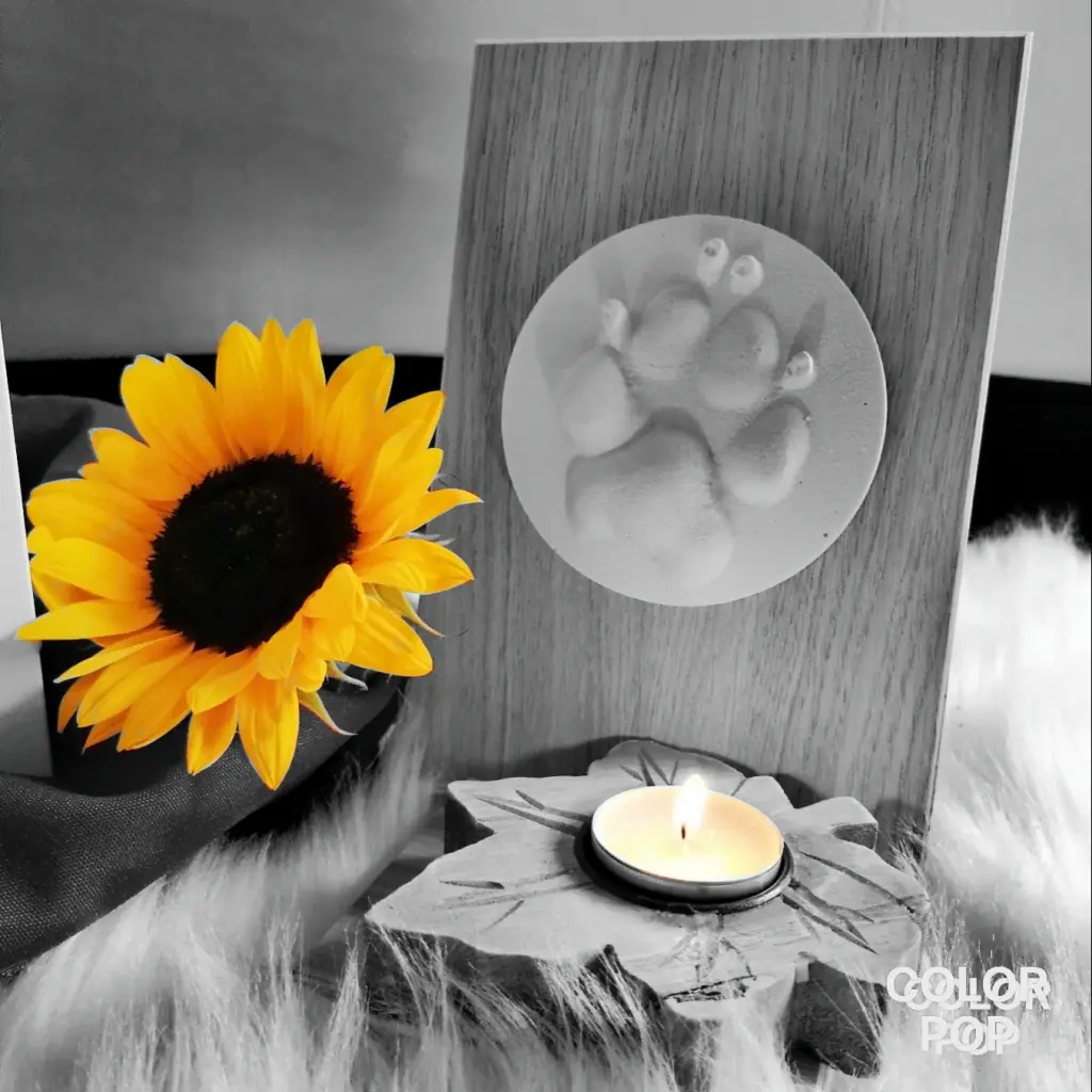 Image from Aros