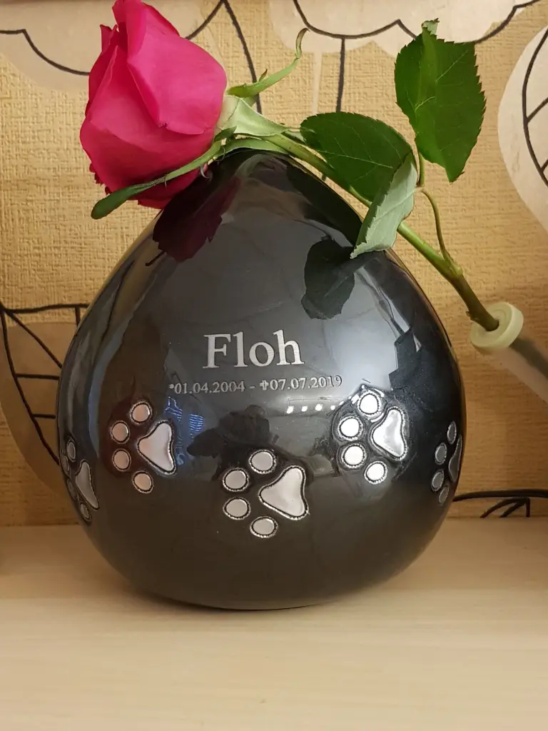 Image from Floh