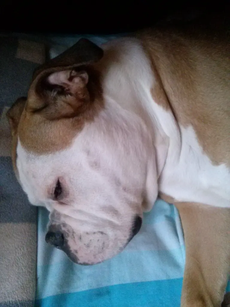 Condolence image of Sabine