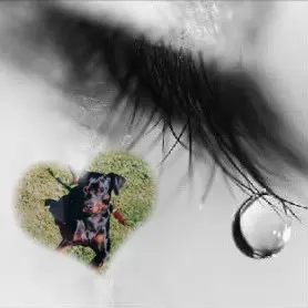 Condolence image of ❤️❤️❤️
