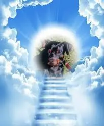 Condolence image of ❤️❤️❤️